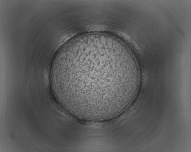 X0000116571217200912241628