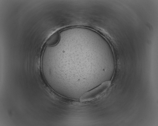 X0000116571220200912241628