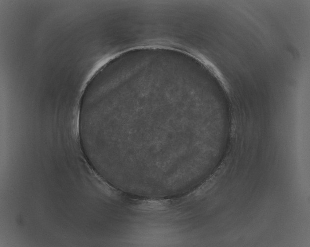 X0000116571224200912241628