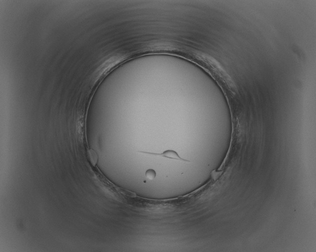 X0000116571225200912241628