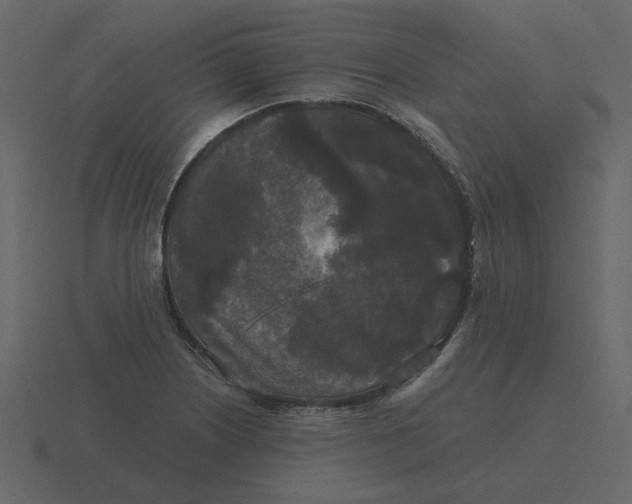 X0000116571226200912241628