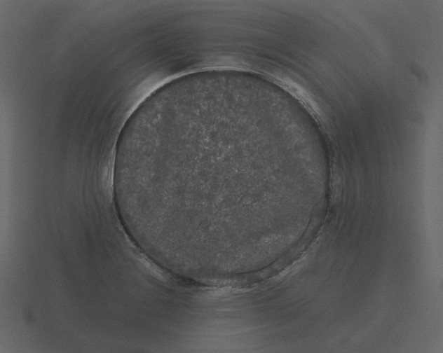 X0000116571228200912241628