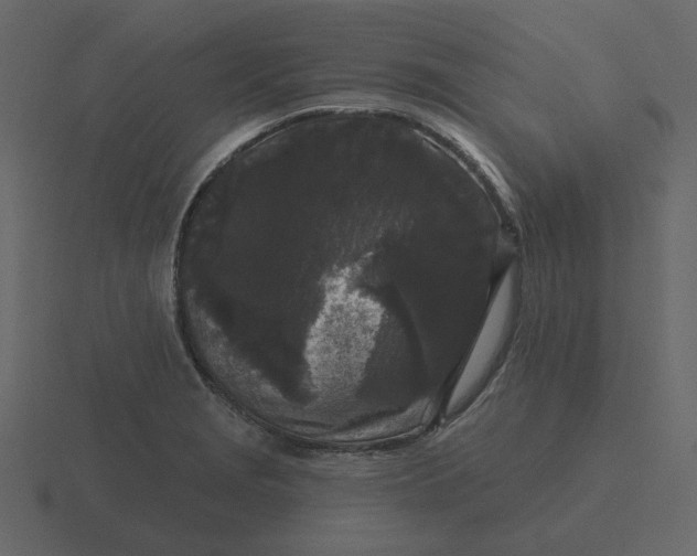 X0000116571229200912241628