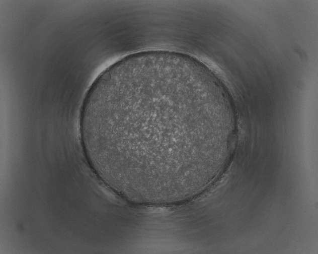 X0000116571230200912241628