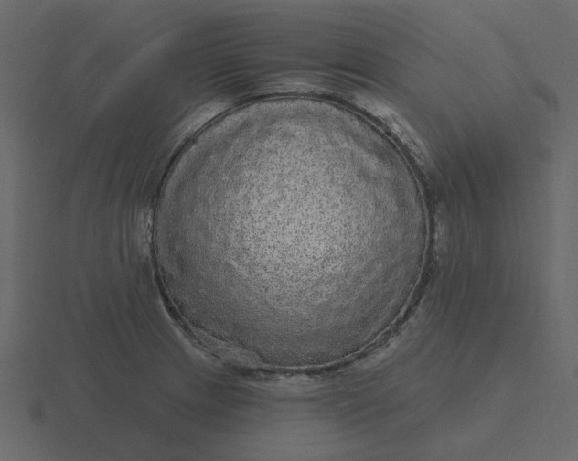 X0000116571233200912241628