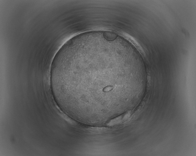 X0000116571236200912241628