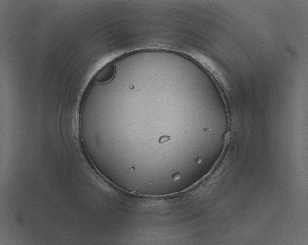 X0000116571238200912241628