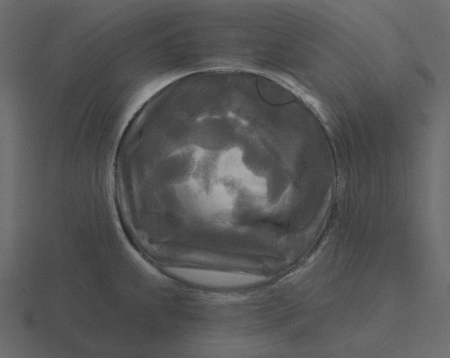 X0000116571239200912241628