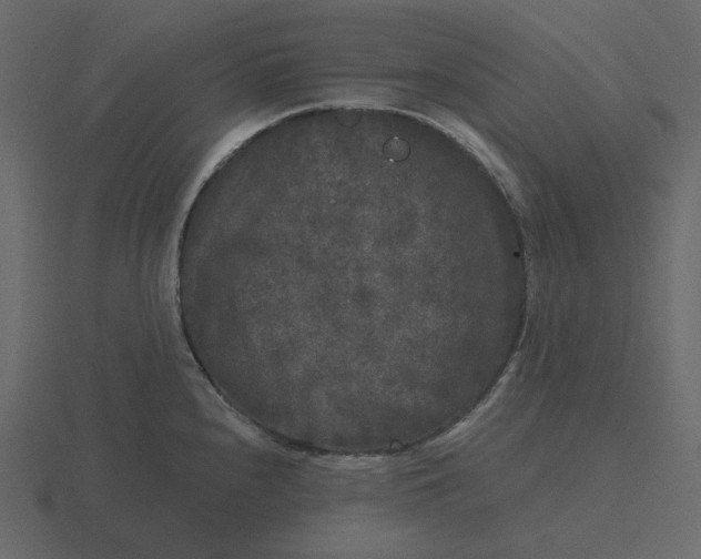 X0000116571240200912241628