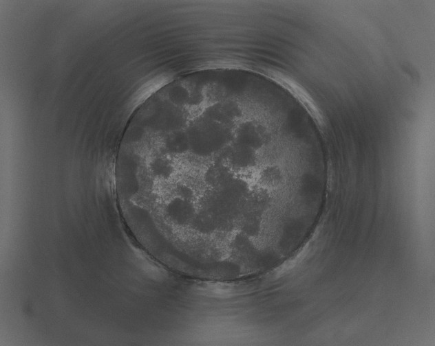 X0000116571241200912241628