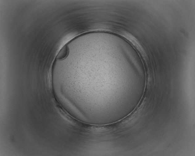 X0000116571242200912241628