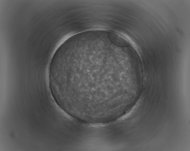 X0000116571243200912241628