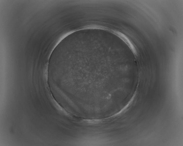 X0000116571244200912241628