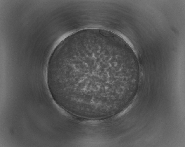 X0000116571245200912241628