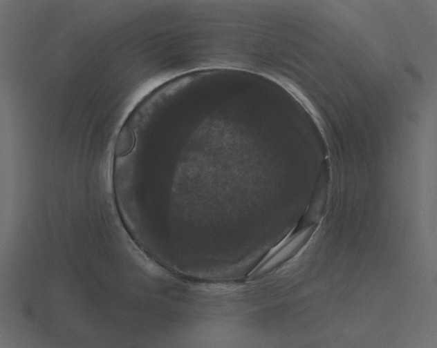 X0000116571246200912241628