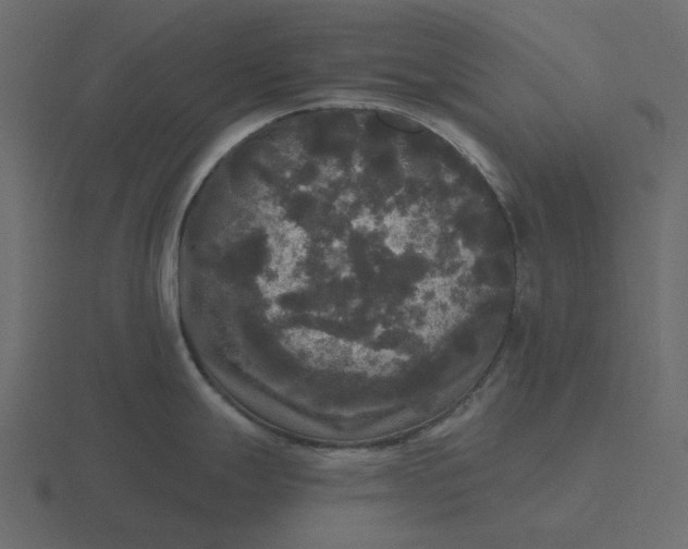 X0000116571247200912241628