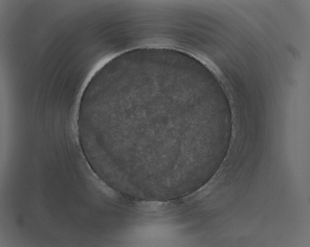 X0000116571248200912241628