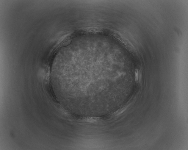 X0000116571251200912241628