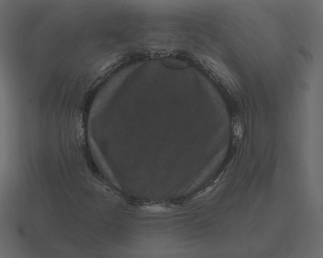 X0000116571252200912241628