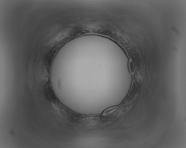 X0000116571253200912241628