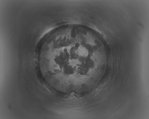 X0000116571255200912241628