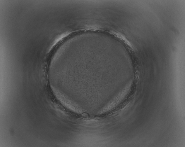 X0000116571256200912241628