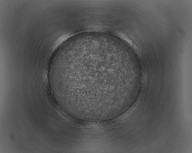 X0000116571259200912241628