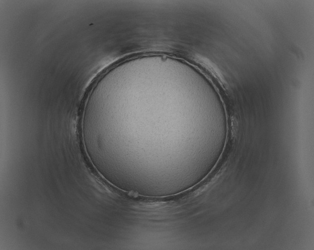 X0000116571260200912241628