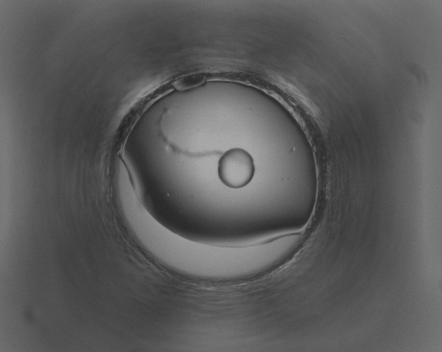 X0000116571261200912241628