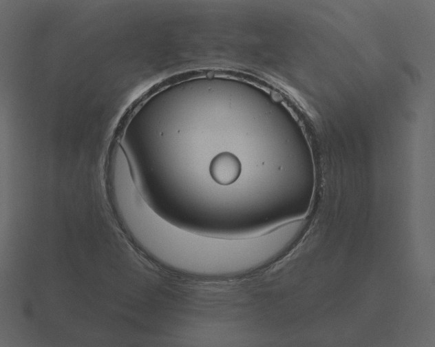 X0000116571264200912241628