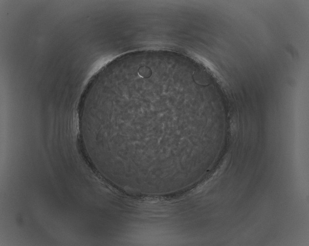 X0000116571267200912241627