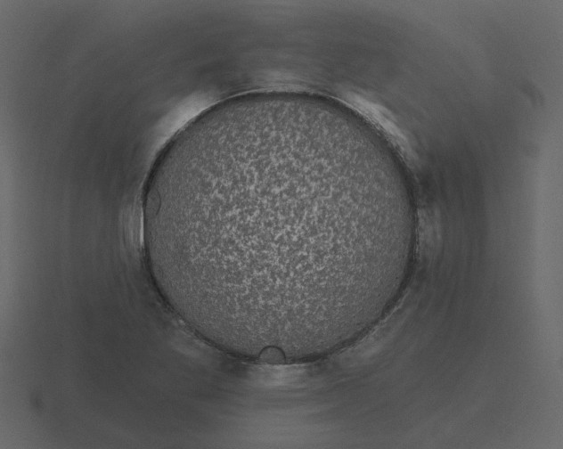 X0000116571269200912241627