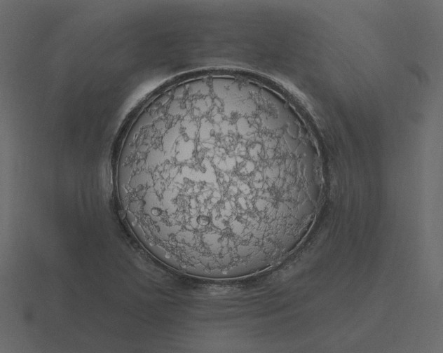 X0000116571271200912241627