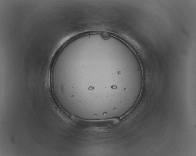 X0000116571272200912241627