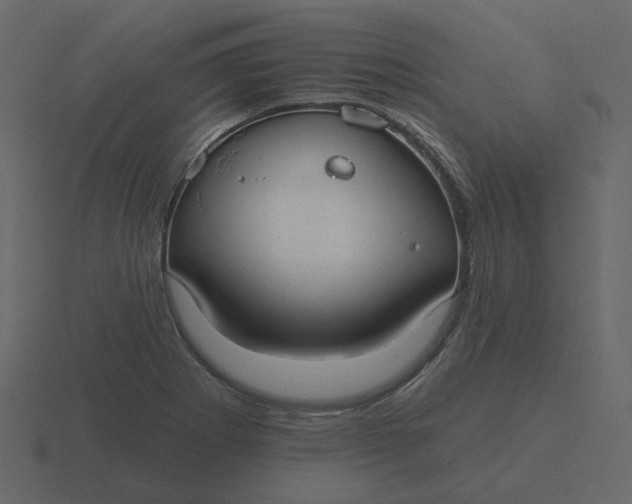 X0000116571273200912241627