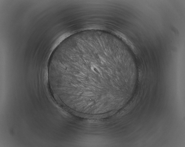 X0000116571274200912241627