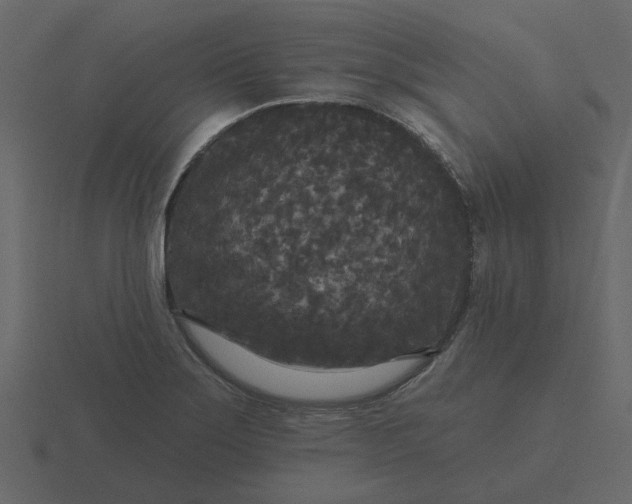 X0000116571275200912241627