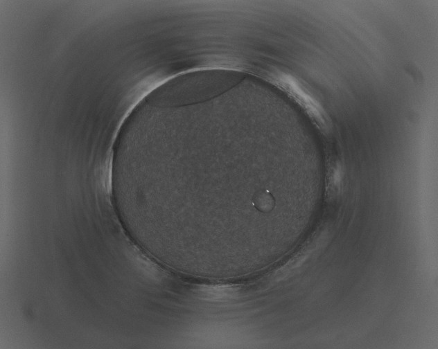 X0000116571276200912241627