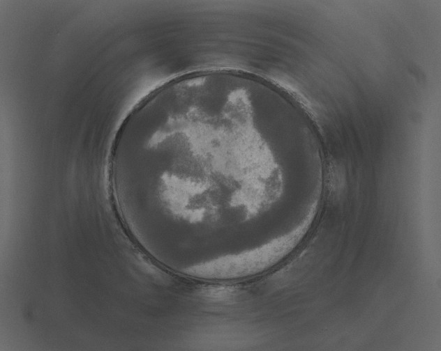 X0000116571278200912241627