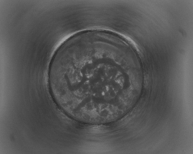 X0000116571279200912241627