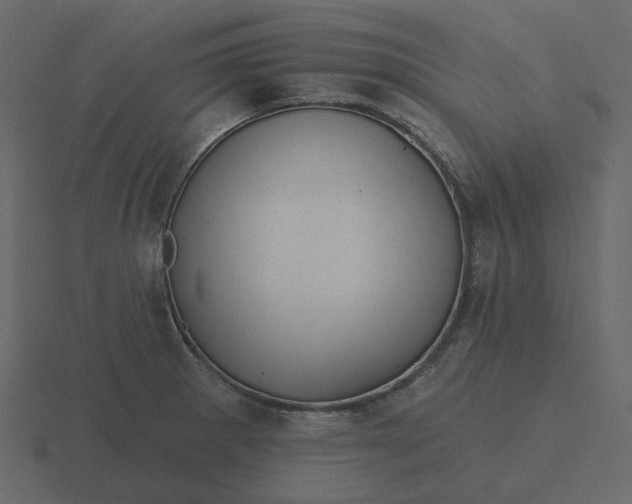 X0000116571281200912241627