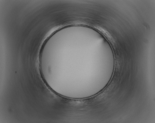 X0000116571286200912241627