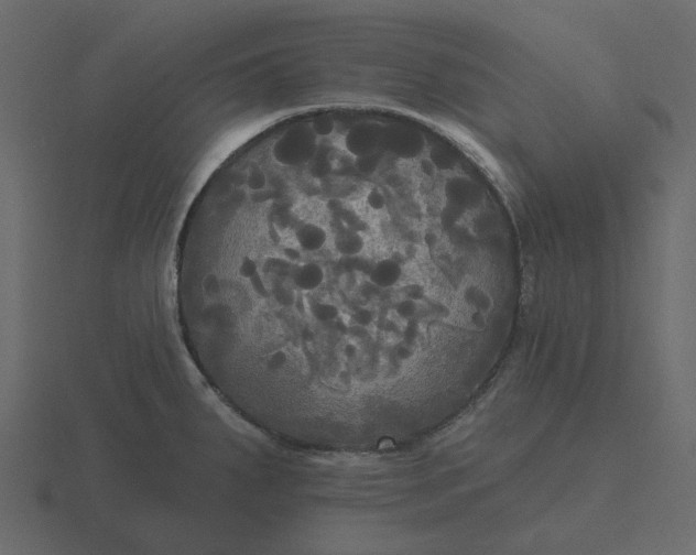 X0000116571287200912241627