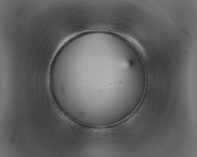 X0000116571288200912241627