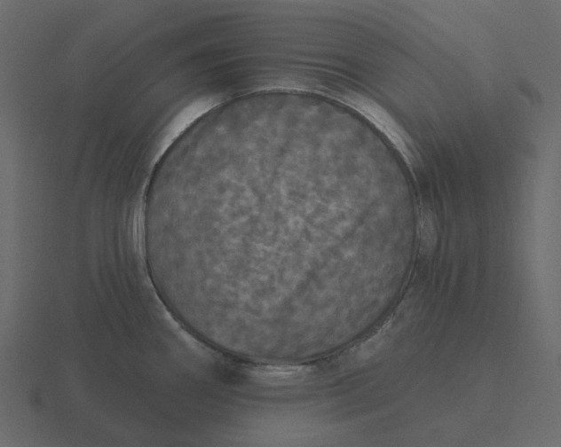 X0000116571290200912241627