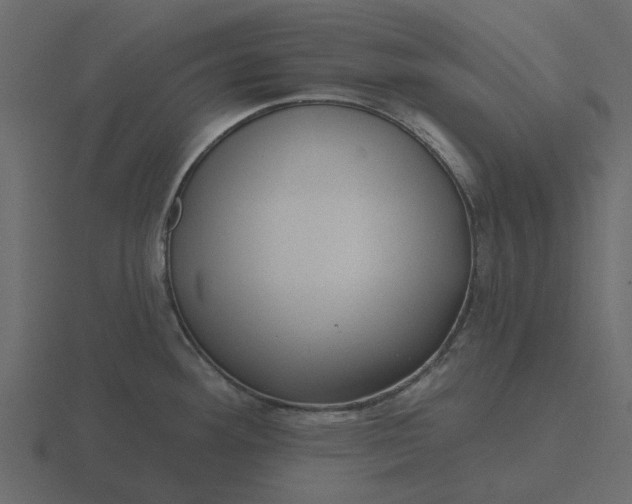 X0000116571292200912241627