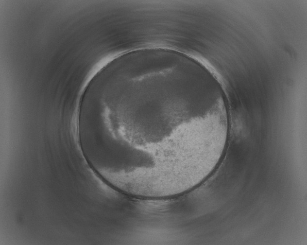 X0000116571294200912241627