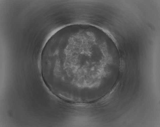 X0000116571295200912241627