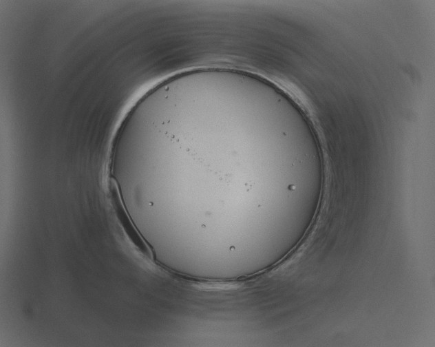 X0000116571296200912241627