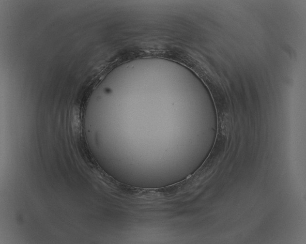 X0000116571298200912241627